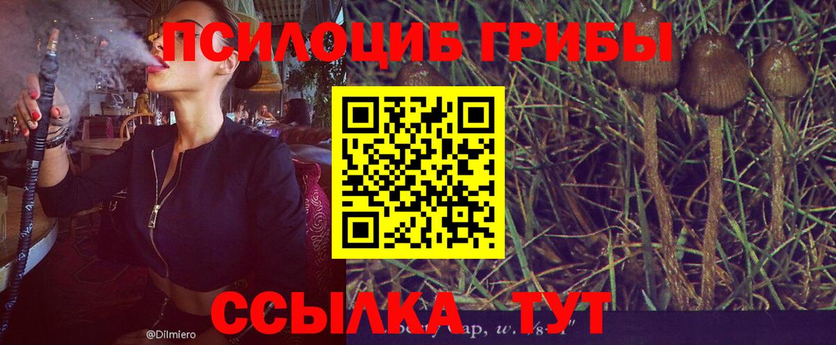 Галлюциногенные грибы мицелий  Вход с VPN  Среднеуральск  Галлюциногенные грибы мицелий 